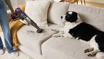 Eine Person verwendet einen Shark PowerDetect Staubsauger auf einem Sofa mit einem Hund in der Nähe.