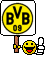 bvb